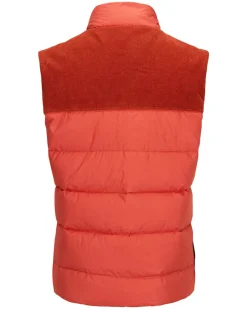 Groomer Vest Men